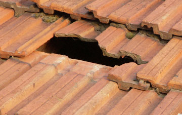 roof repair Brandis Corner, Devon